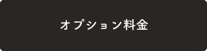 オプション料金